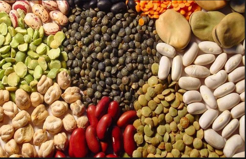 Variedad de menestras